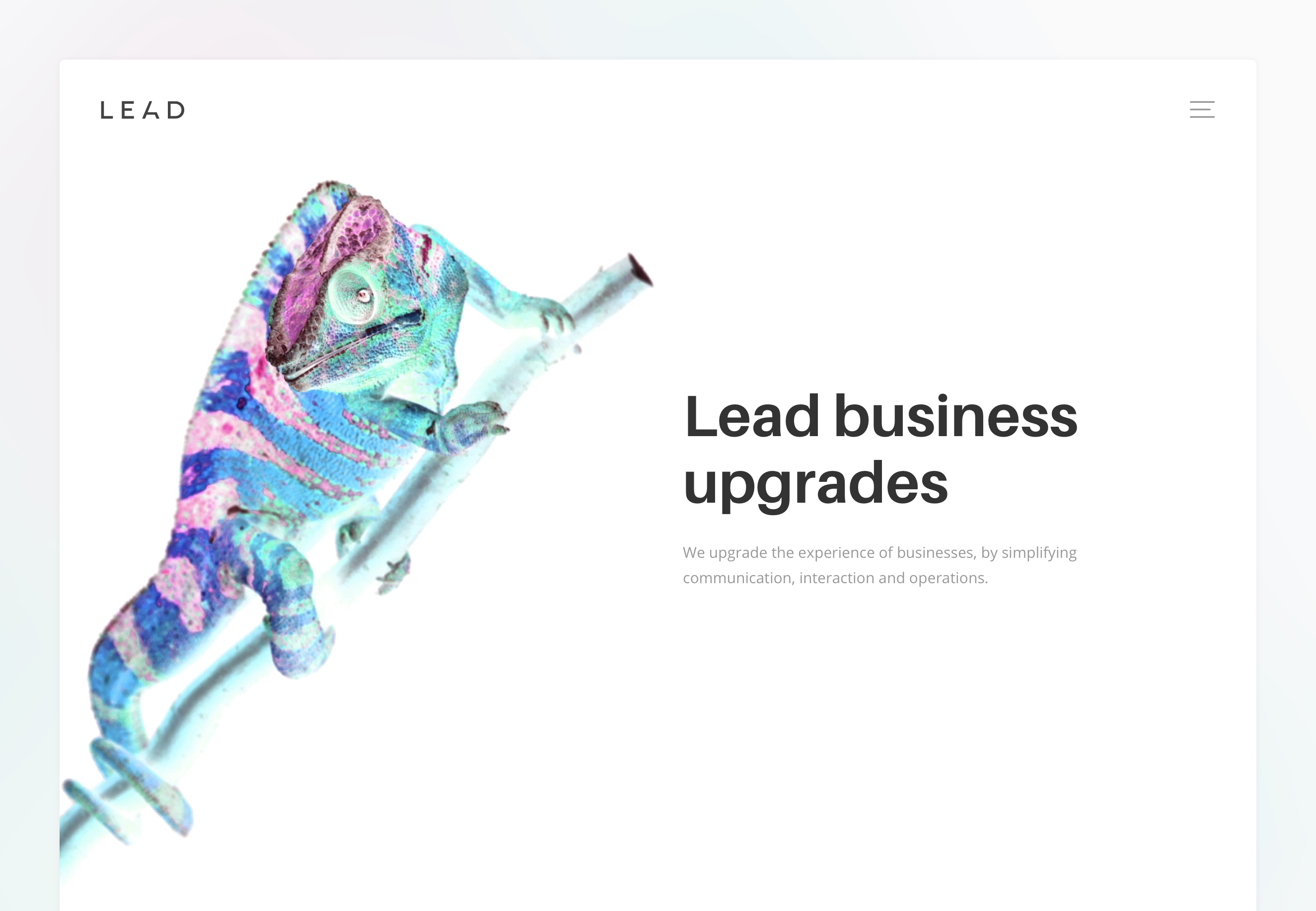 Lead XD web design top