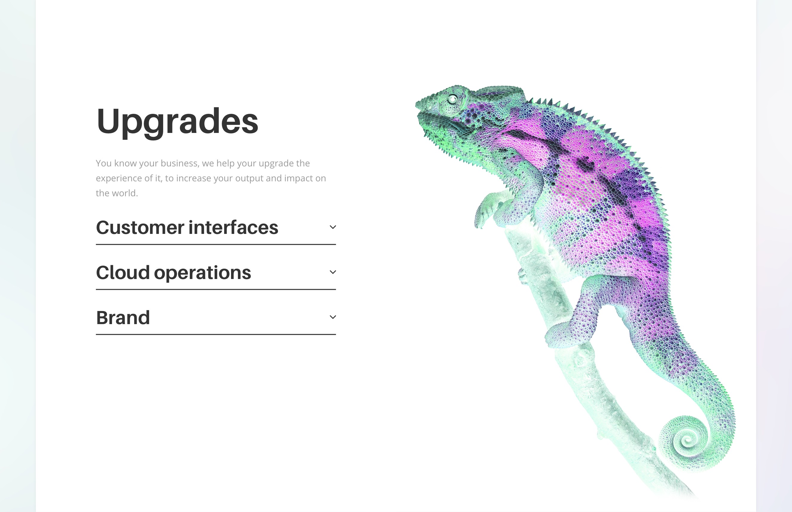 Lead XD web design upgrades