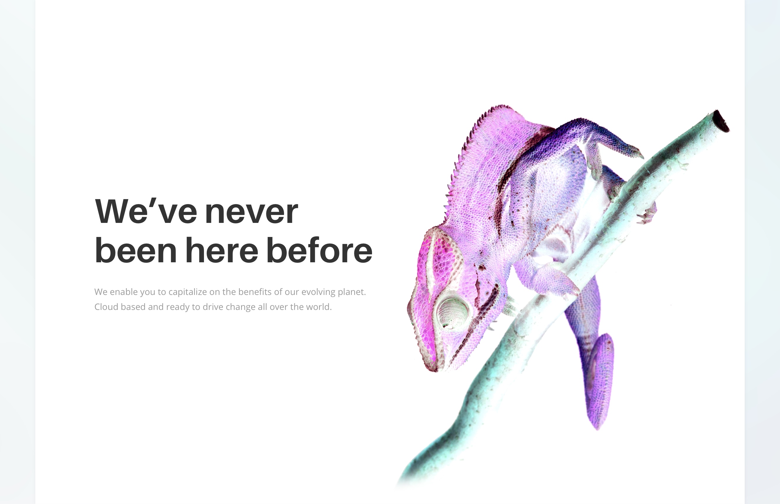 Lead XD web design mission