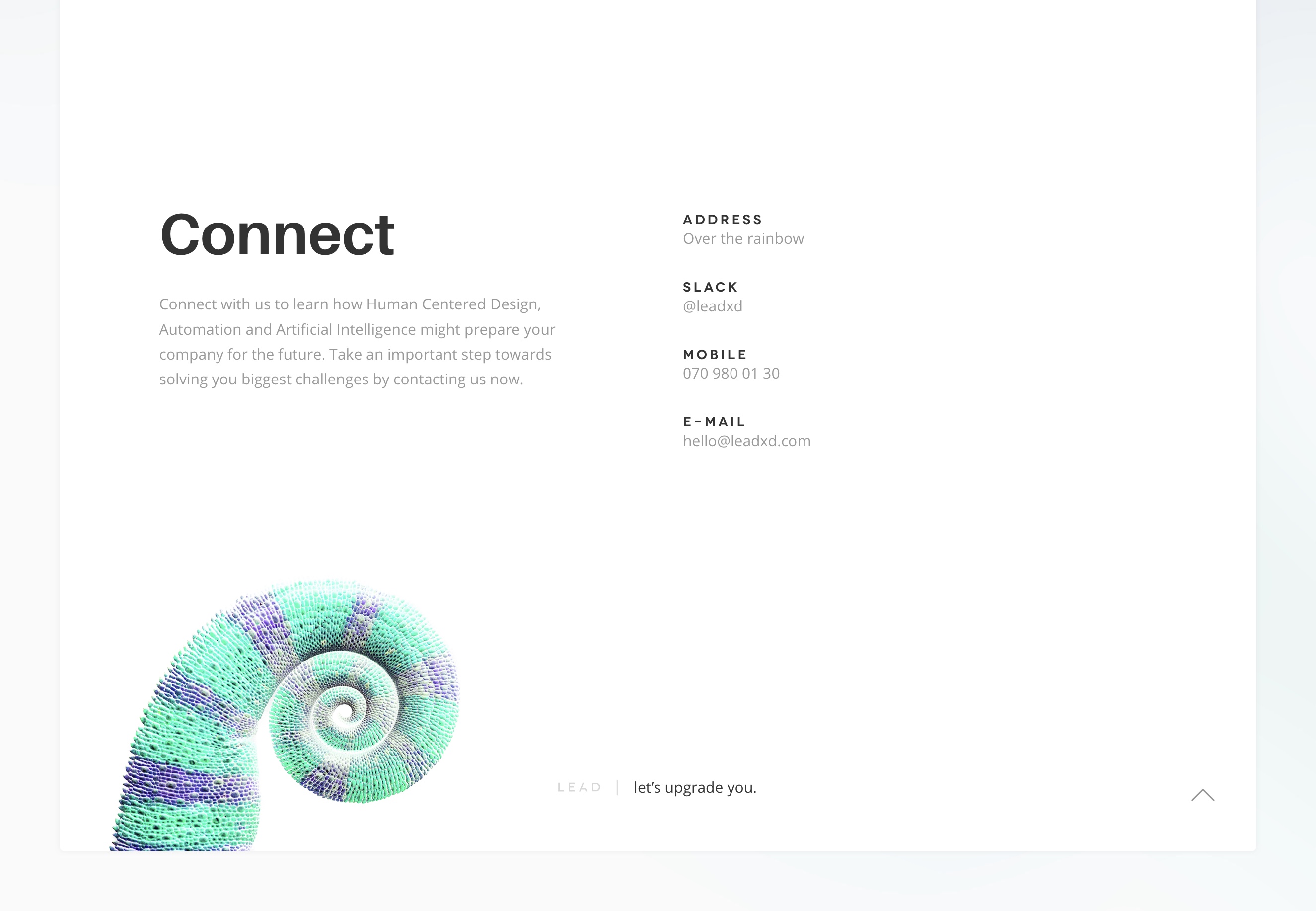 Lead XD web design kontakt