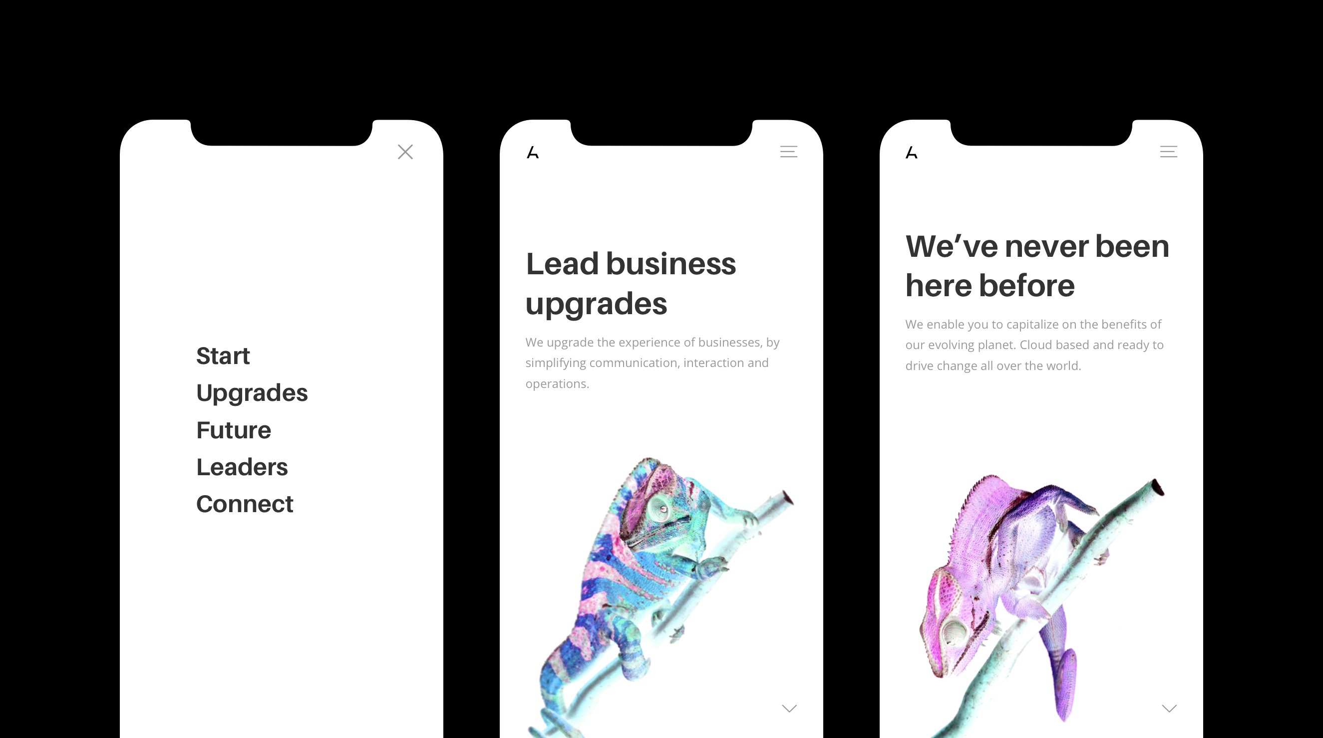 Lead XD mobil web design